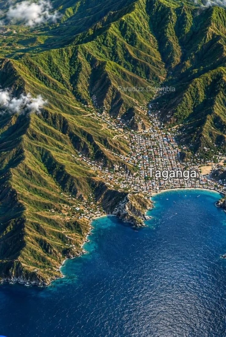 Aerial view of Taganga bay